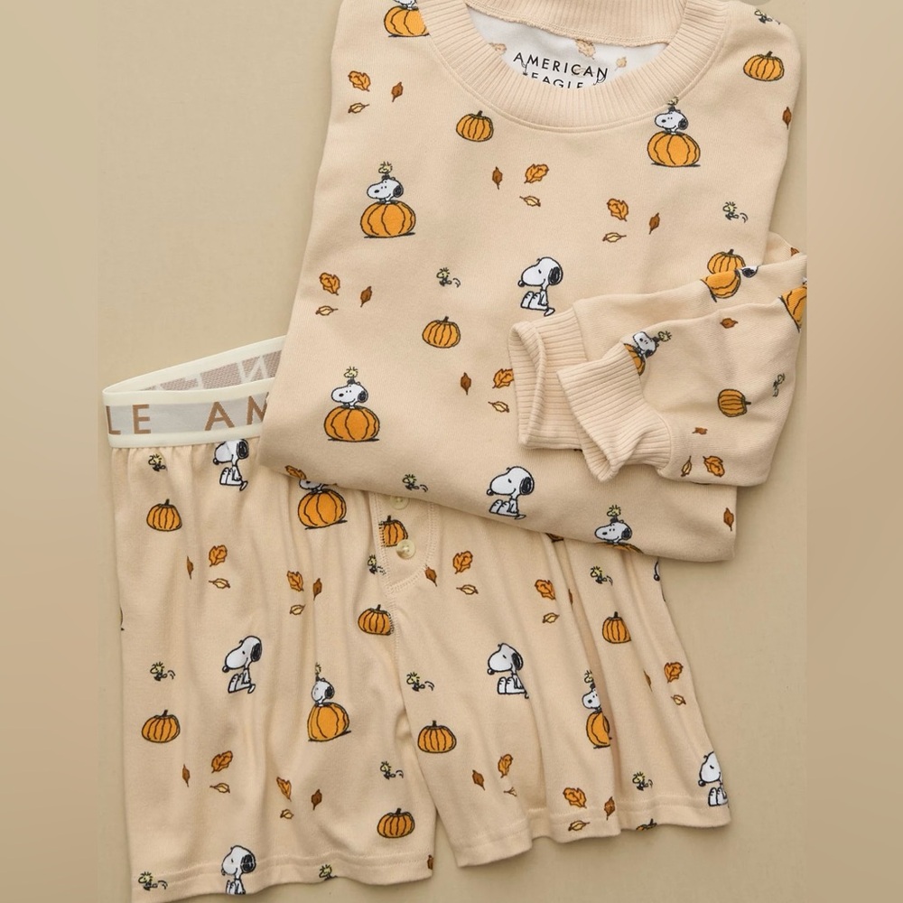 AE Peanuts Fall Pumpkin Plush PJ Set Size Small